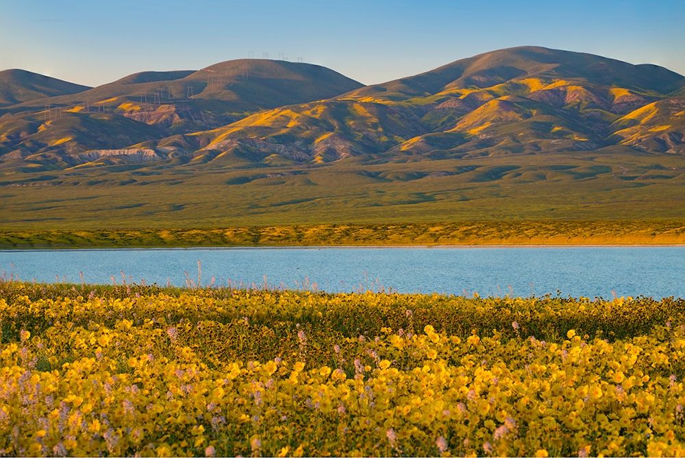 Temblor Range at Soda Lake -Carrizo Plain National Monument-California art print by Tim Fitzharris for $57.95 CAD