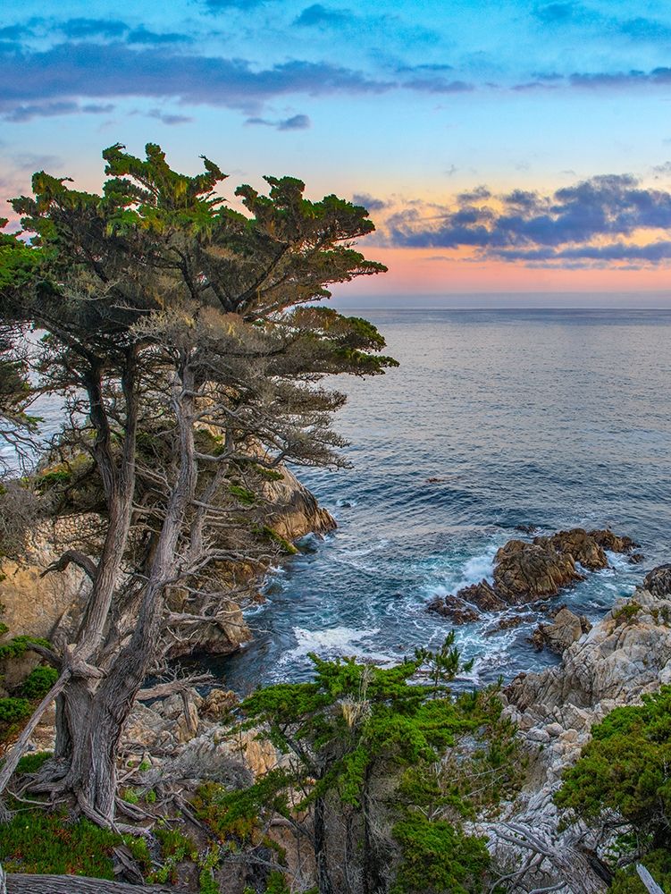 Pescdero Point-17-mile drive-Pebble-Beach-California-USA art print by Tim Fitzharris for $57.95 CAD