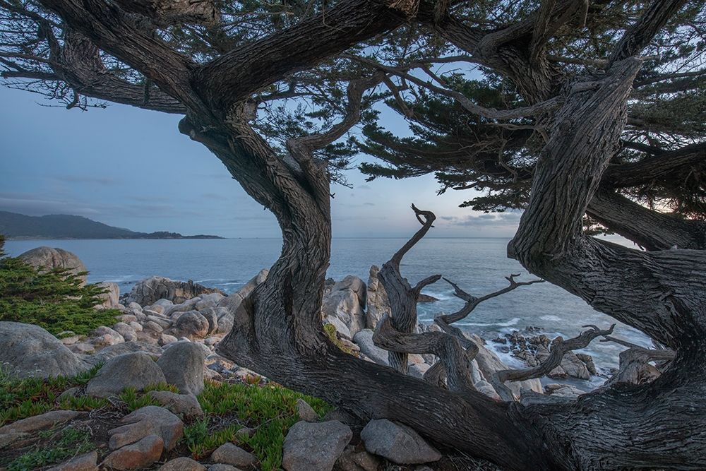 Pescdero Point-17-mile drive-Pebble-Beach-California-USA art print by Tim Fitzharris for $57.95 CAD