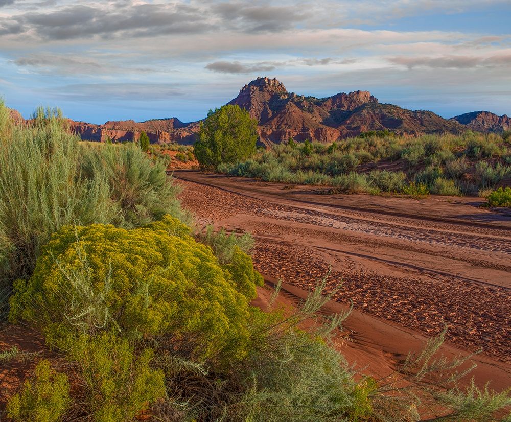 Vermillion Cliffs National Monument-Arizona-USA art print by Tim Fitzharris for $57.95 CAD
