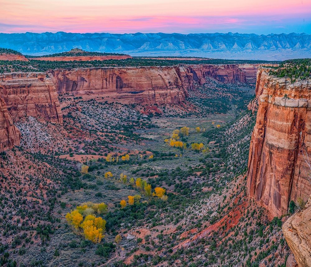 Ute Canyon-Colorado National Monument-Colorado art print by Tim Fitzharris for $57.95 CAD
