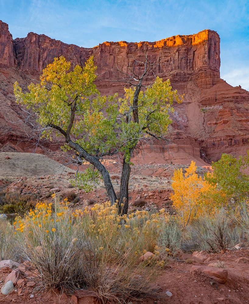 Sandstone Cliffs at Porcupine Canyon-Utah art print by Tim Fitzharris for $57.95 CAD