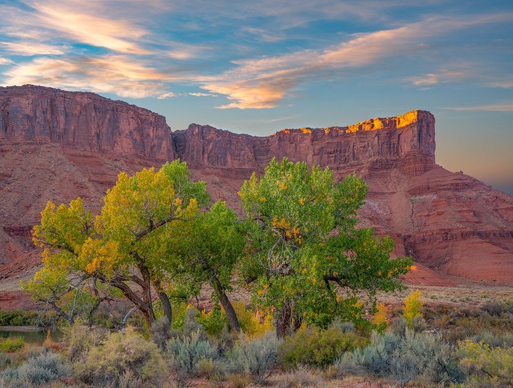Sandstone Cliffs at Porcupine Canyon-Utah art print by Tim Fitzharris for $57.95 CAD