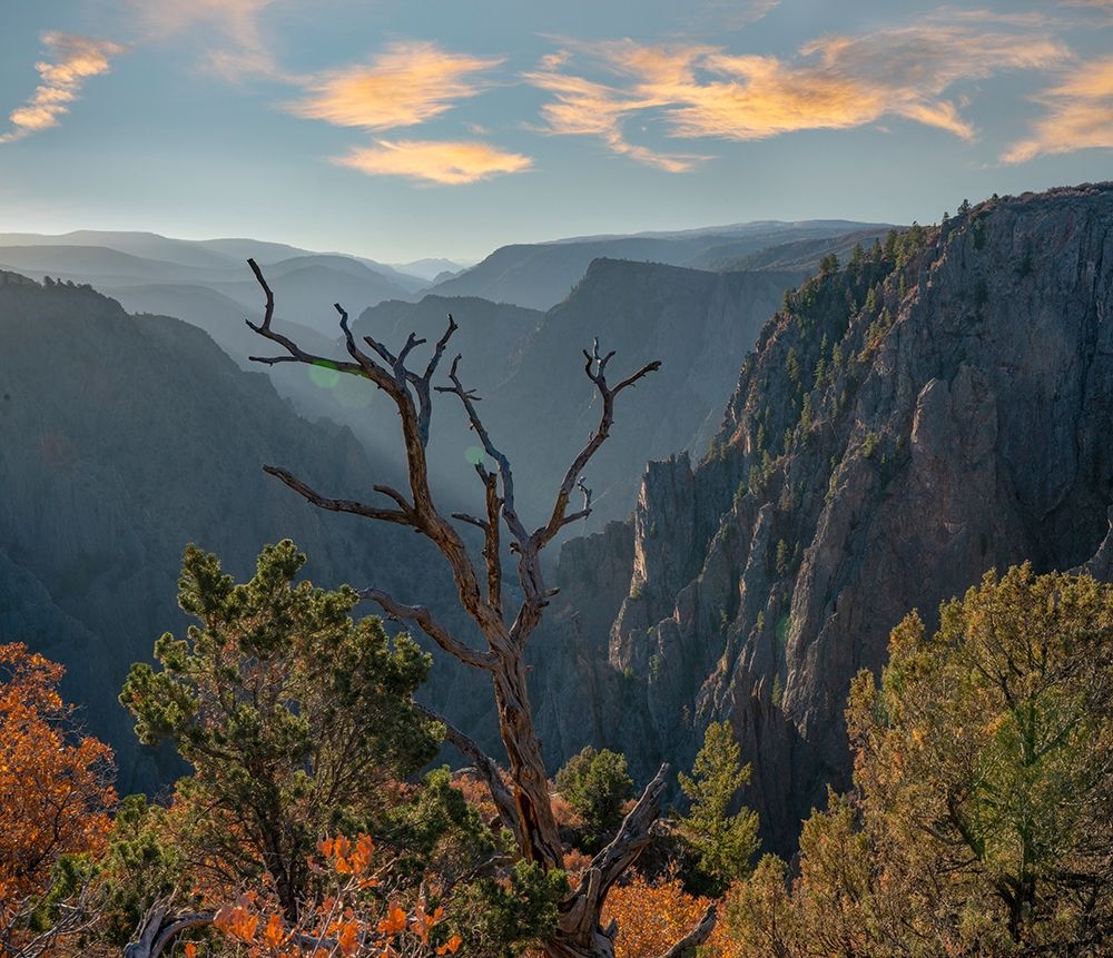 Tomichi Point-Black Canyon of the Gunnison National Park-Colorado art print by Tim Fitzharris for $57.95 CAD