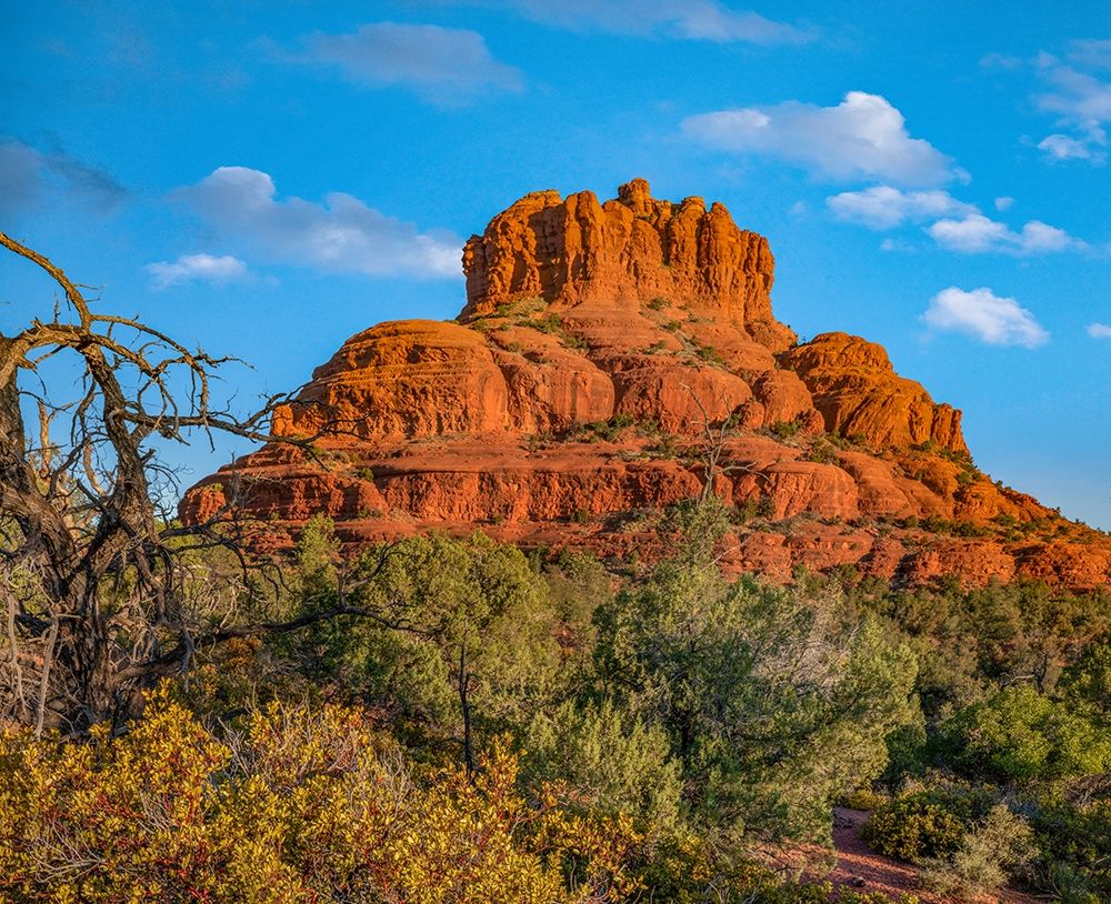 Bell Rock-Coconino National Forest near Sedona-Arizona-USA art print by Tim Fitzharris for $57.95 CAD