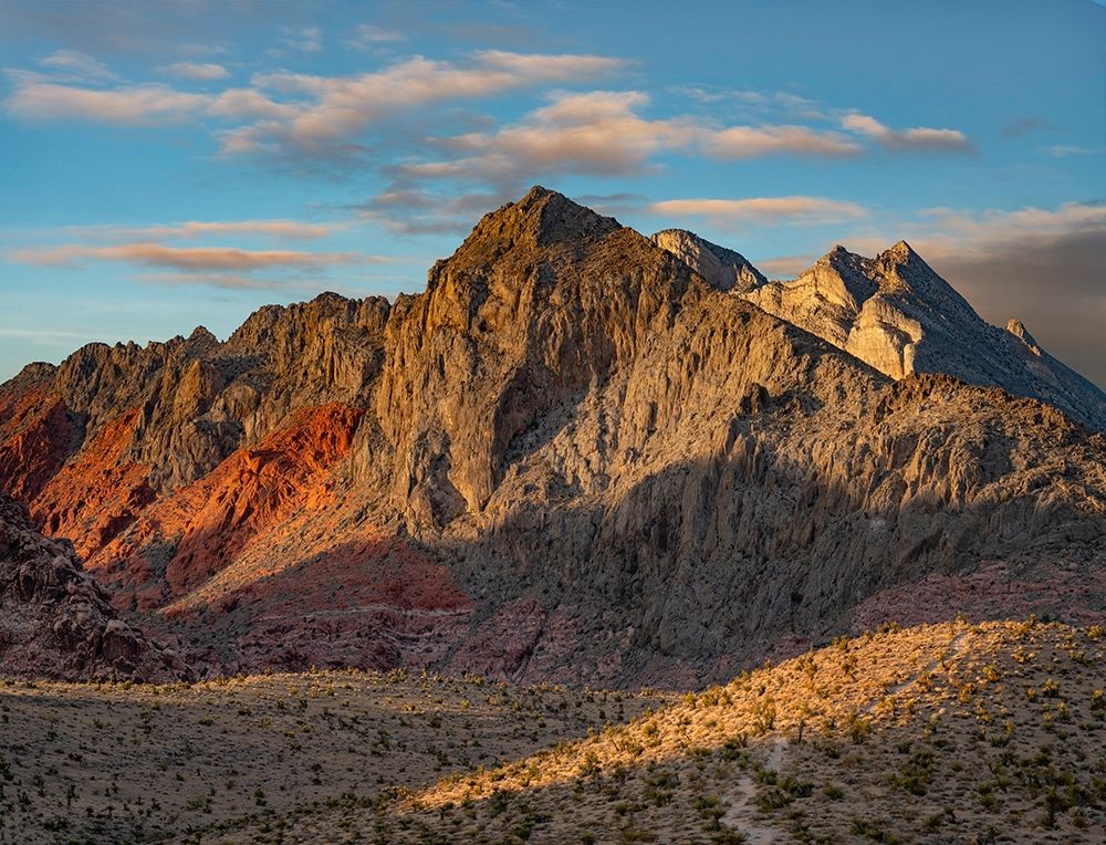 Red Rock Canyon National Conservation Area-Nevada-USA art print by Tim Fitzharris for $57.95 CAD