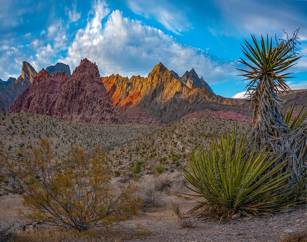 Red Rock Canyon National Conservation Area-Nevada-USA art print by Tim Fitzharris for $57.95 CAD