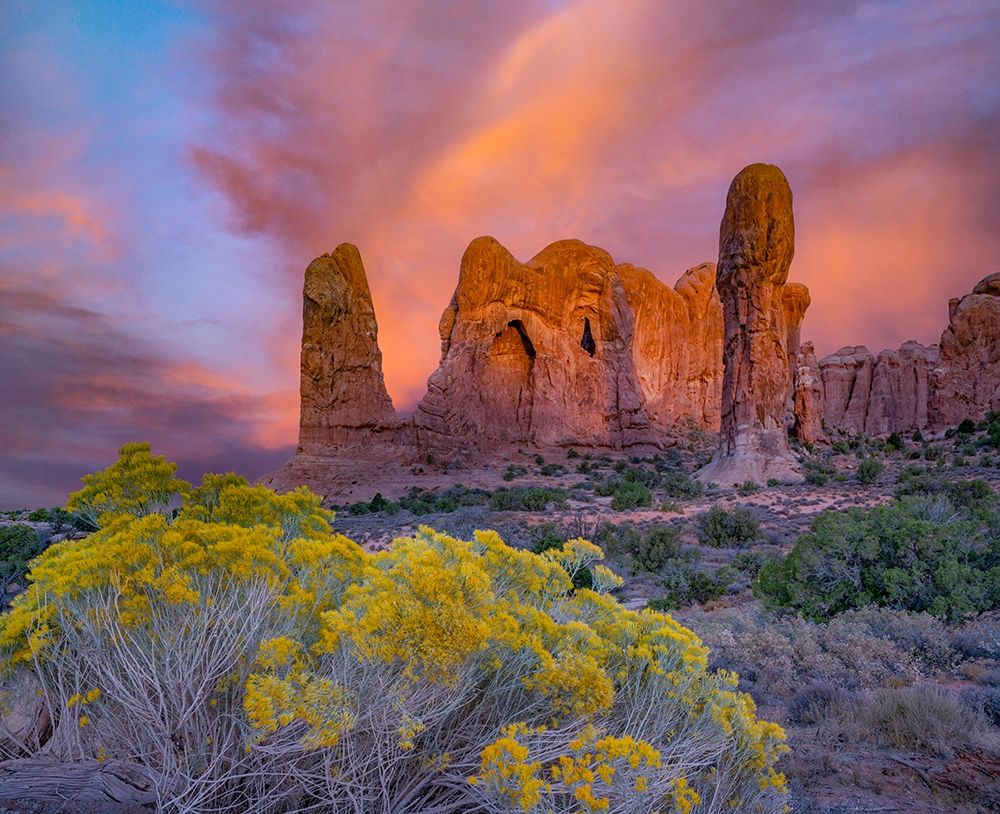 Parade of the Elephants Sandstone Formation-Arches National Park-Utah art print by Tim Fitzharris for $57.95 CAD