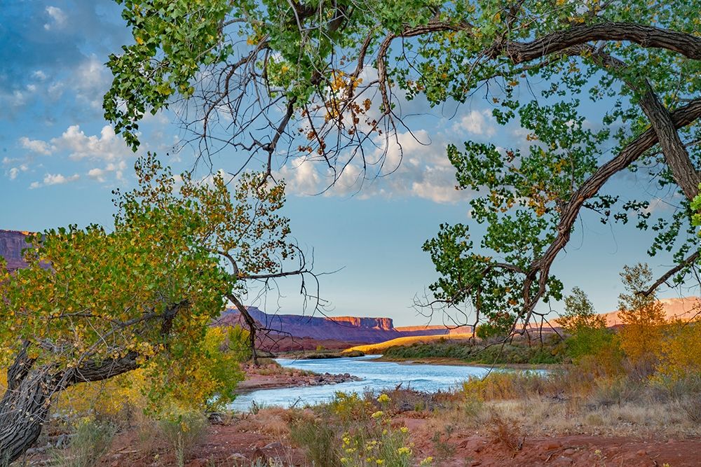 Porcupine Canyon on Colorado River near Castle Valley-Utah-USA art print by Tim Fitzharris for $57.95 CAD