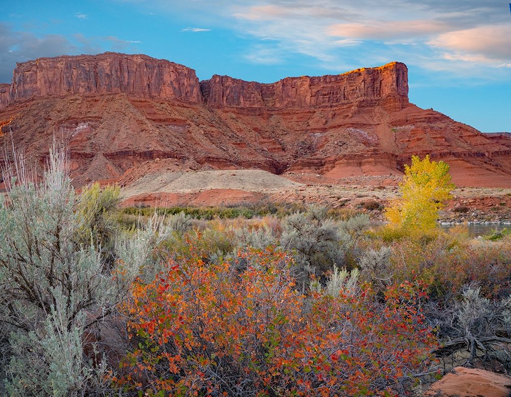 Porcupine Canyon with Dome Plateau on Colorado River near Moab-Utah art print by Tim Fitzharris for $57.95 CAD