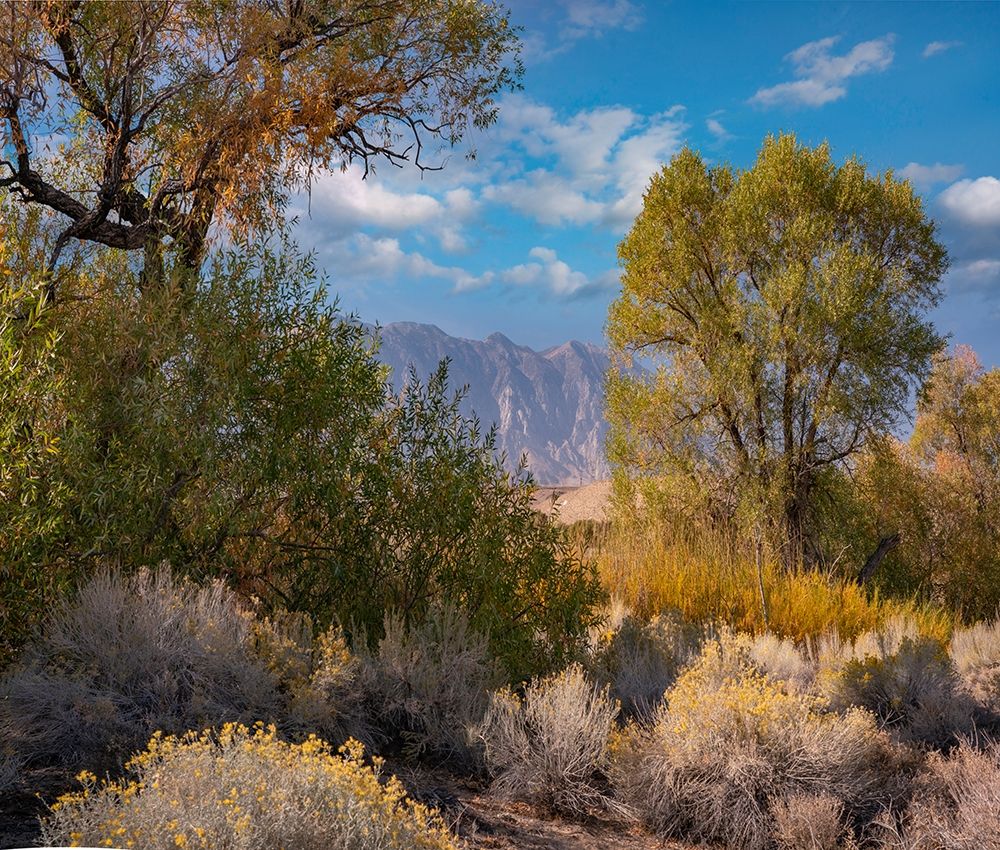 Sierra Nevada-Owens Valley-California-USA art print by Tim Fitzharris for $57.95 CAD