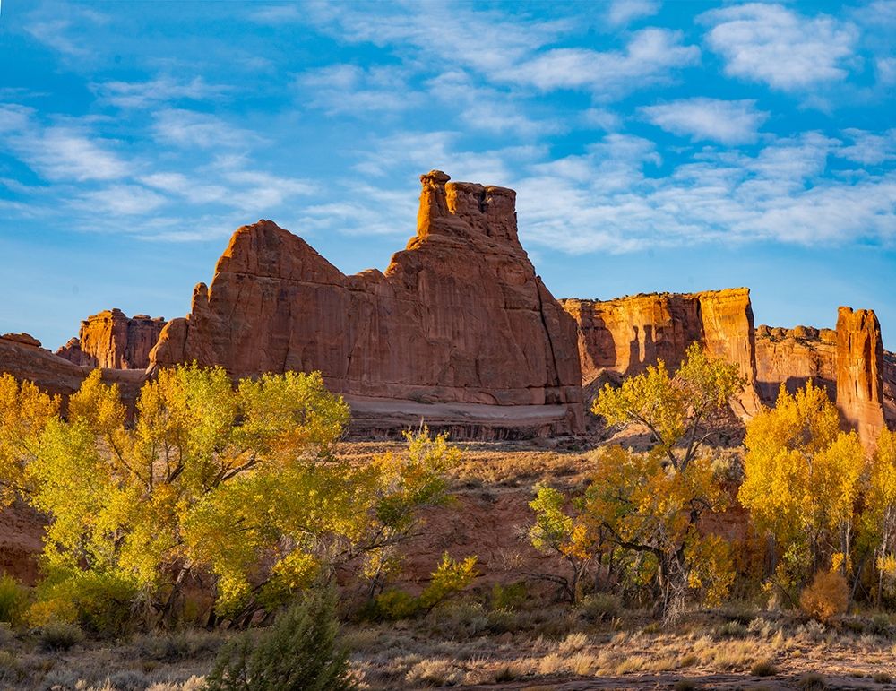 Courthouse Towers from Courthouse Wash-Arches National Park-Utah art print by Tim Fitzharris for $57.95 CAD