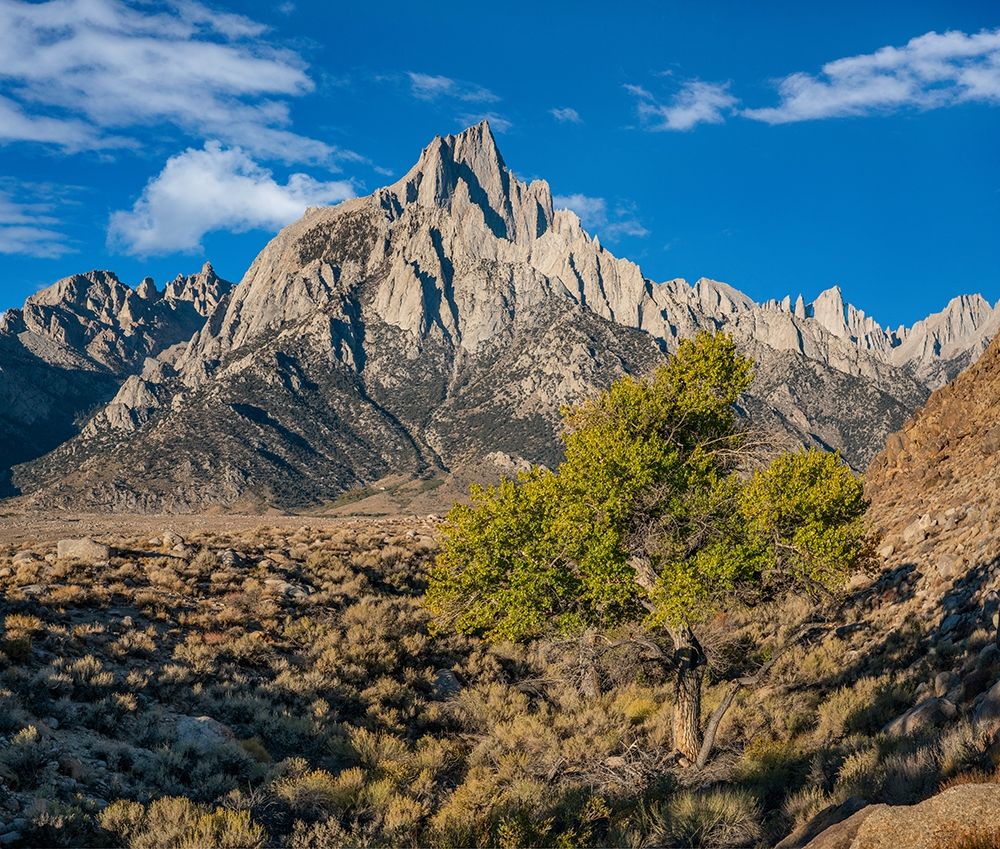 Lone Pine Peak-Eastern Sierra-California art print by Tim Fitzharris for $57.95 CAD