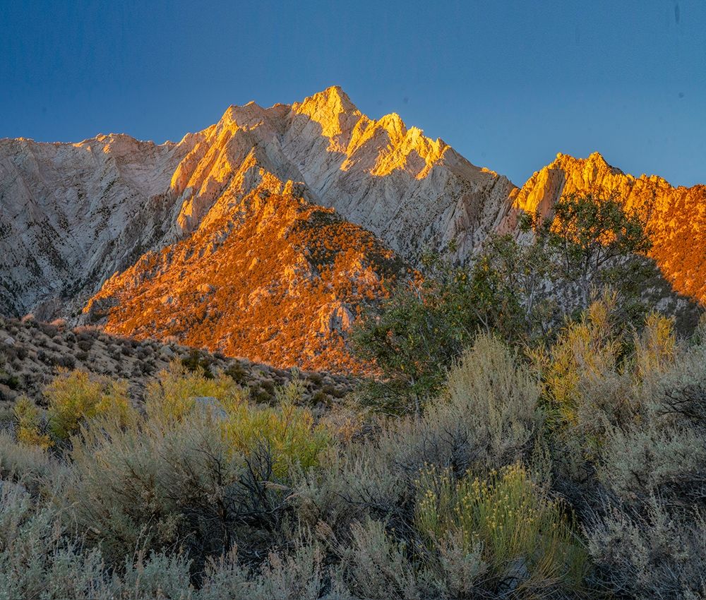 Tuttle Creek-Sierra Nevada-California-USA art print by Tim Fitzharris for $57.95 CAD