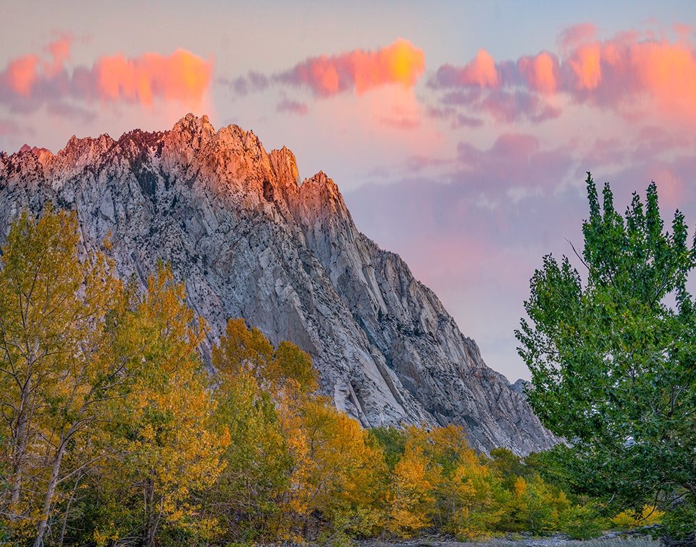 Mount Tom-Eastern Sierra-California-USA art print by Tim Fitzharris for $57.95 CAD