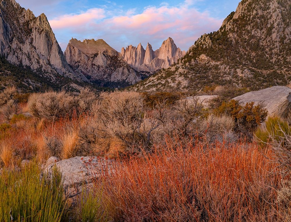 Mount Whitney-Sequoia National Park-California-USA art print by Tim Fitzharris for $57.95 CAD