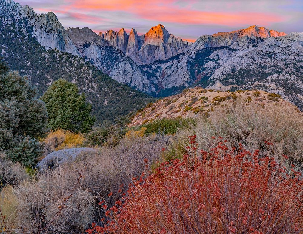 Mount Whitney-Sequoia National Park-California-USA art print by Tim Fitzharris for $57.95 CAD