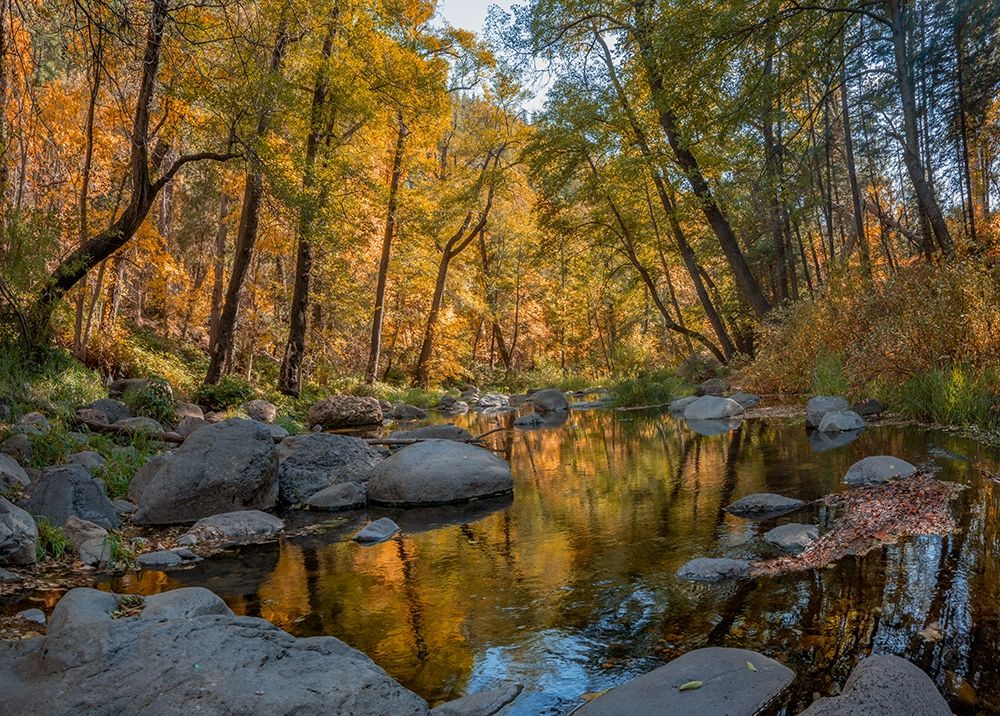 Oak Creek near Sedona-Arizona-USA art print by Tim Fitzharris for $57.95 CAD