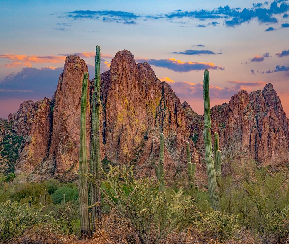 Usury Mountains from Tortilla Flat-Arizona-USA art print by Tim Fitzharris for $57.95 CAD