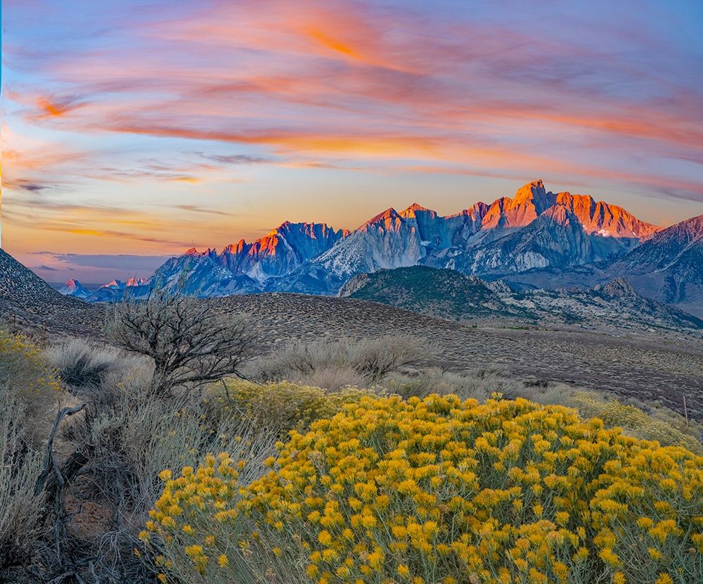 Sierra Nevada from Owens Valley-California-USA art print by Tim Fitzharris for $57.95 CAD
