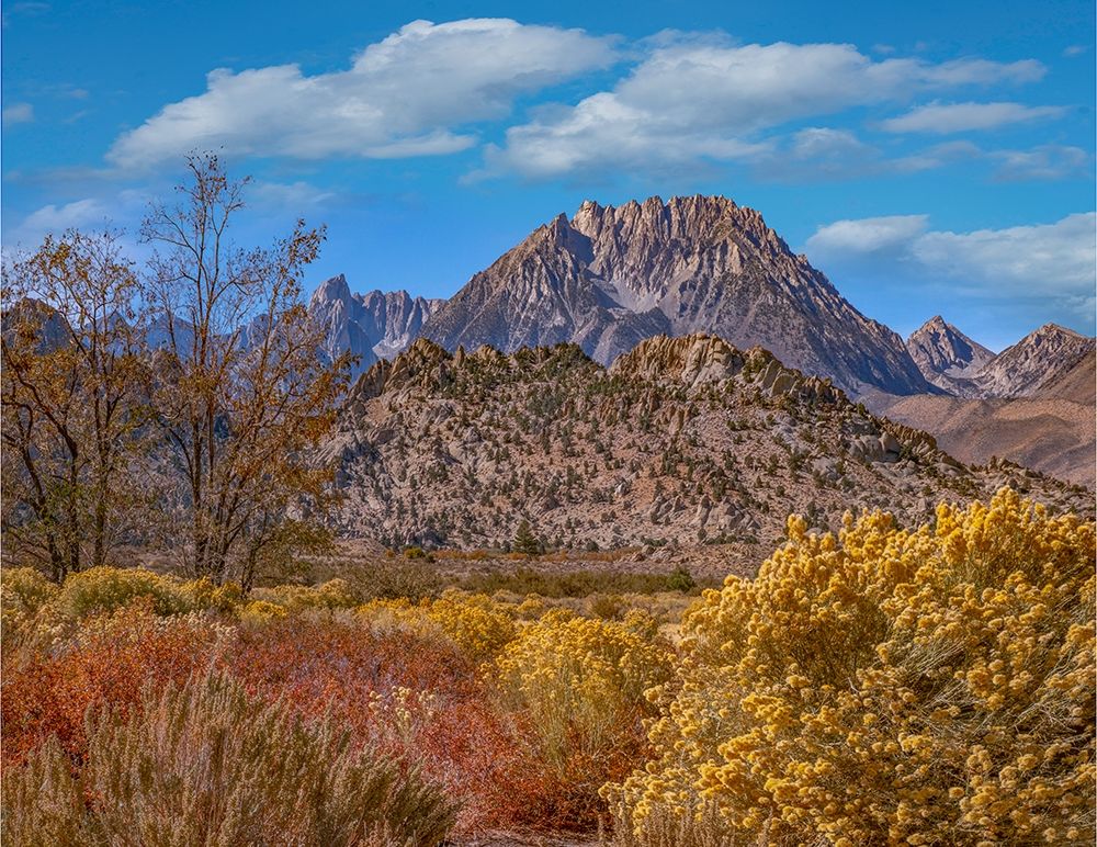 Sierra Nevada from Buttermilk Road near Bishop-California-USA art print by Tim Fitzharris for $57.95 CAD
