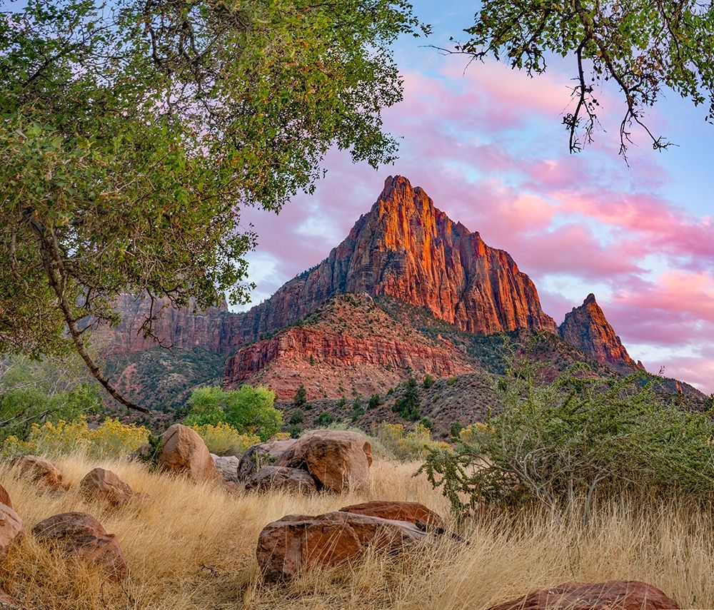 The Watchman-Zion National Park-Utah-USA art print by Tim Fitzharris for $57.95 CAD