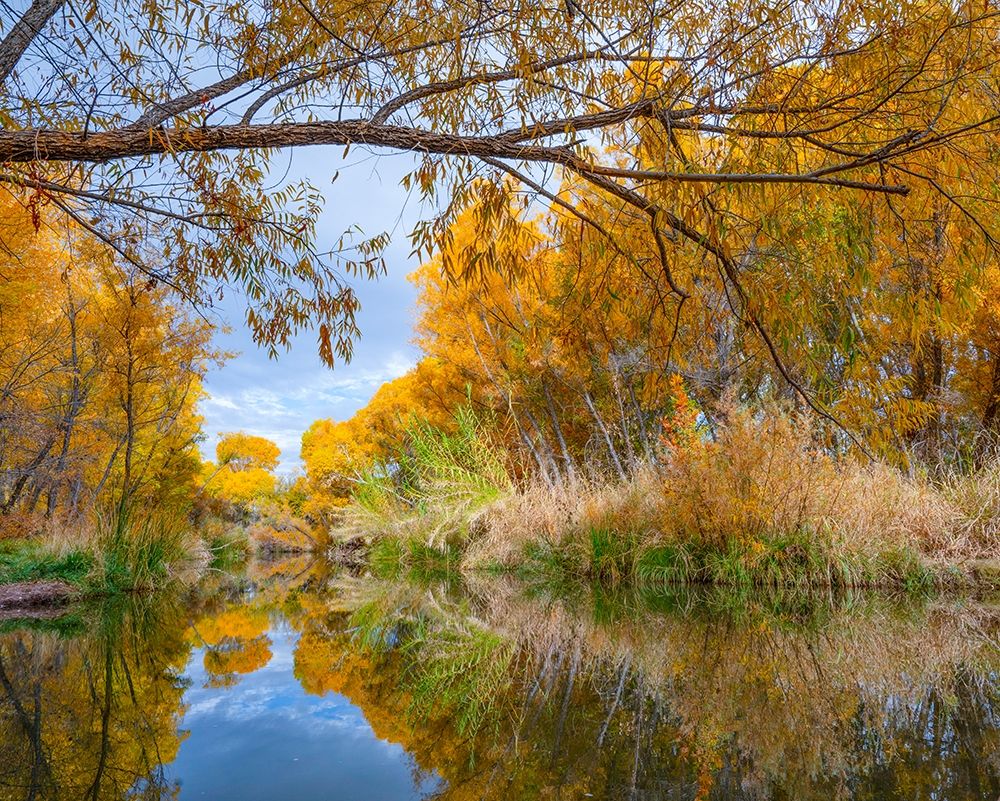 Verde River near Camp Verde-Arizona-USA art print by Tim Fitzharris for $57.95 CAD