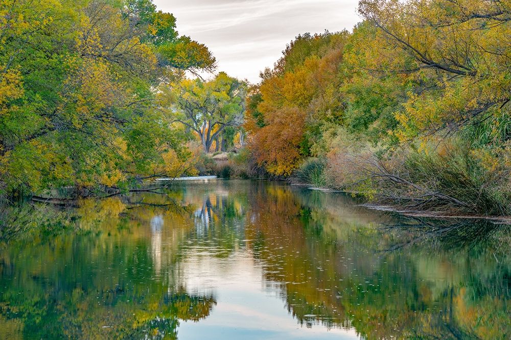 Verde River near Camp Verde-Arizona-USA art print by Tim Fitzharris for $57.95 CAD