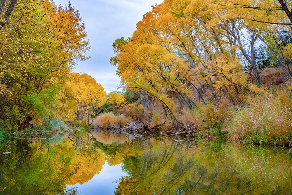 Verde River near Camp Verde-Arizona-USA art print by Tim Fitzharris for $57.95 CAD