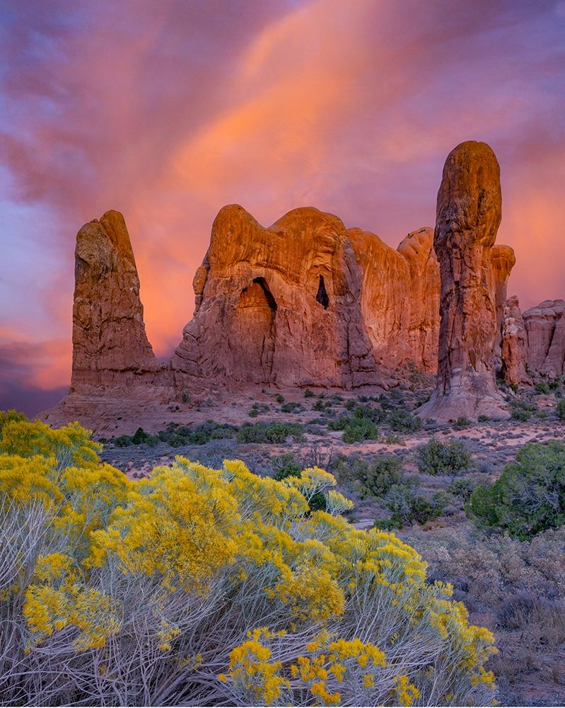 Parade of the Elephants sandstone formation-Arches National Park-Utah art print by Tim Fitzharris for $57.95 CAD