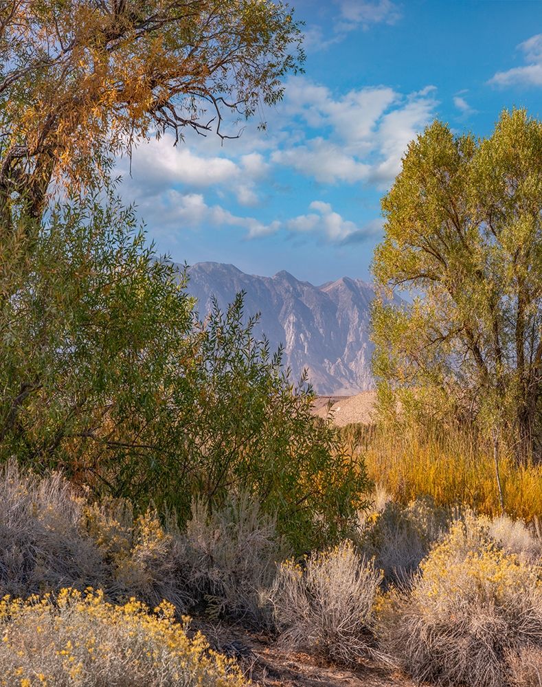 Sierra Nevada-Owens Valley-California-USA art print by Tim Fitzharris for $57.95 CAD