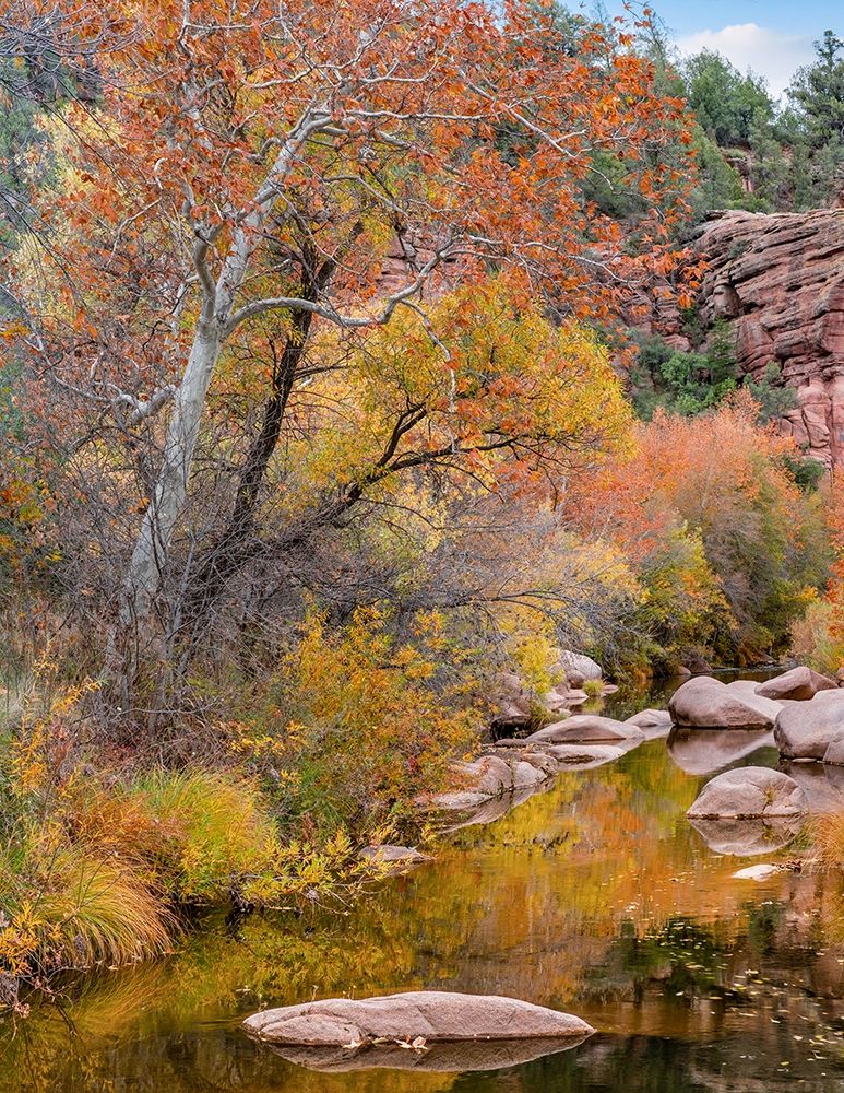 East Verde River-Arizona-USA art print by Tim Fitzharris for $57.95 CAD