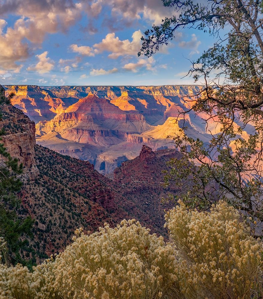 South Rim-Grand Canyon National Park-Arizona USA art print by Tim Fitzharris for $57.95 CAD
