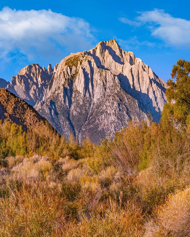 Lone Pine Peak from Tuttle Creek-Sierra Nevada-California-USA art print by Tim Fitzharris for $57.95 CAD