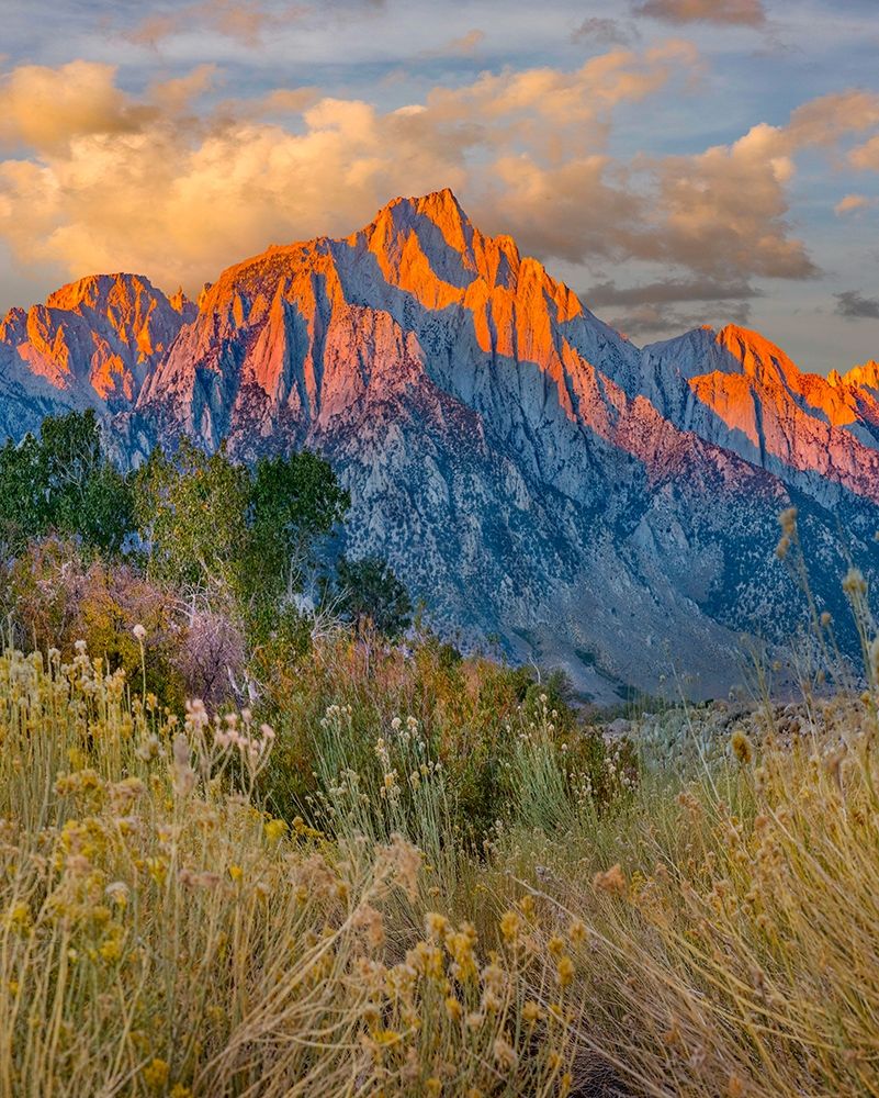Lone Pine Peak-Eastern Sierra-California-USA art print by Tim Fitzharris for $57.95 CAD