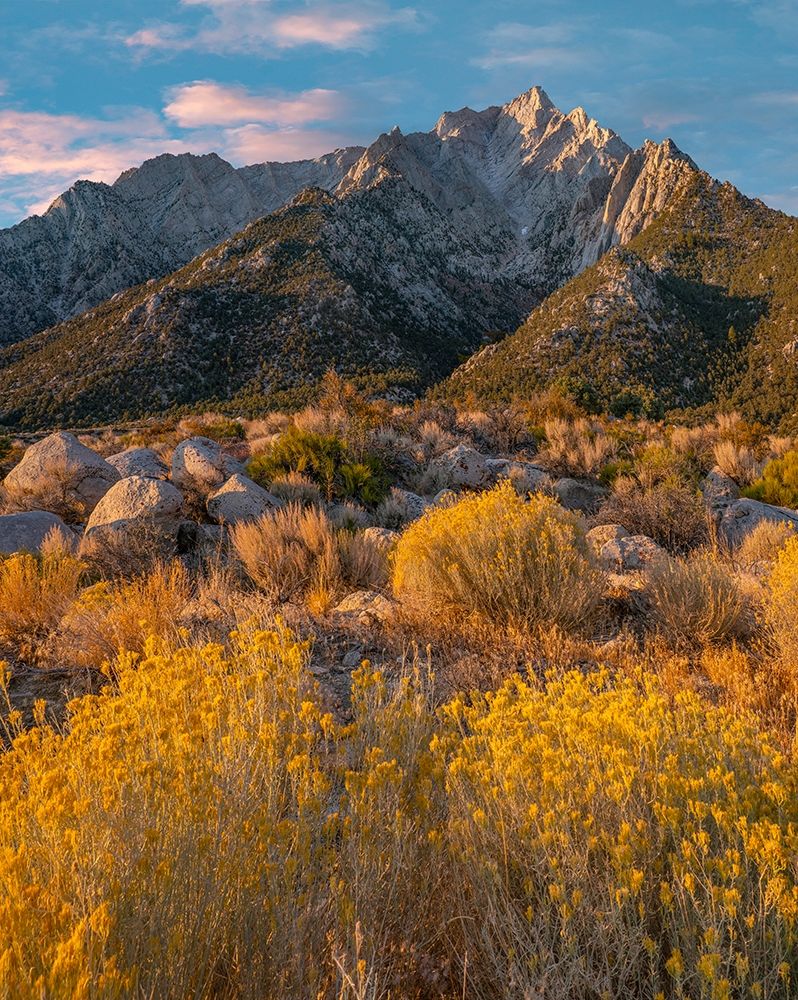 Lone Pine Peak-Eastern Sierra-California-USA art print by Tim Fitzharris for $57.95 CAD