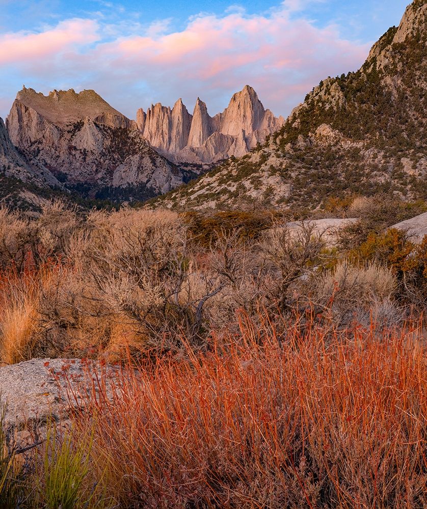 Mount Whitney-Eastern Sierra Nevada-California-USA art print by Tim Fitzharris for $57.95 CAD