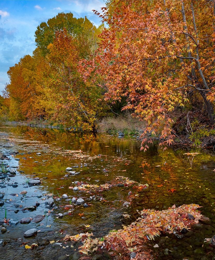 East Verde River-Arizona-USA art print by Tim Fitzharris for $57.95 CAD