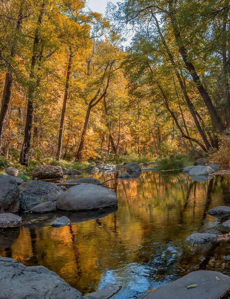 Oak Creek near Sedona-Arizona-USA art print by Tim Fitzharris for $57.95 CAD