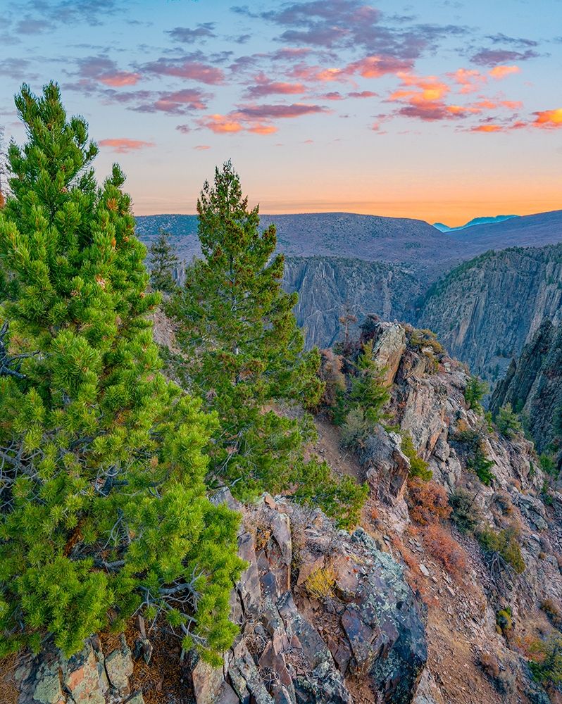Tomichi Point-Black Canyon of the Gunnison National Park-Colorado art print by Tim Fitzharris for $57.95 CAD
