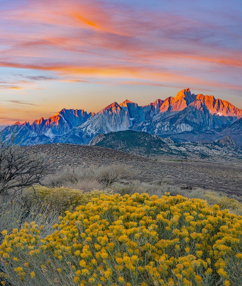 Sierra Nevada from Buttermilk Road near Bishop-California-USA art print by Tim Fitzharris for $57.95 CAD