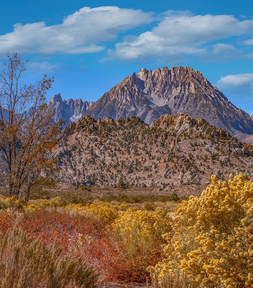 Sierra Nevada from Buttermilk Road near Bishop-California-USA art print by Tim Fitzharris for $57.95 CAD