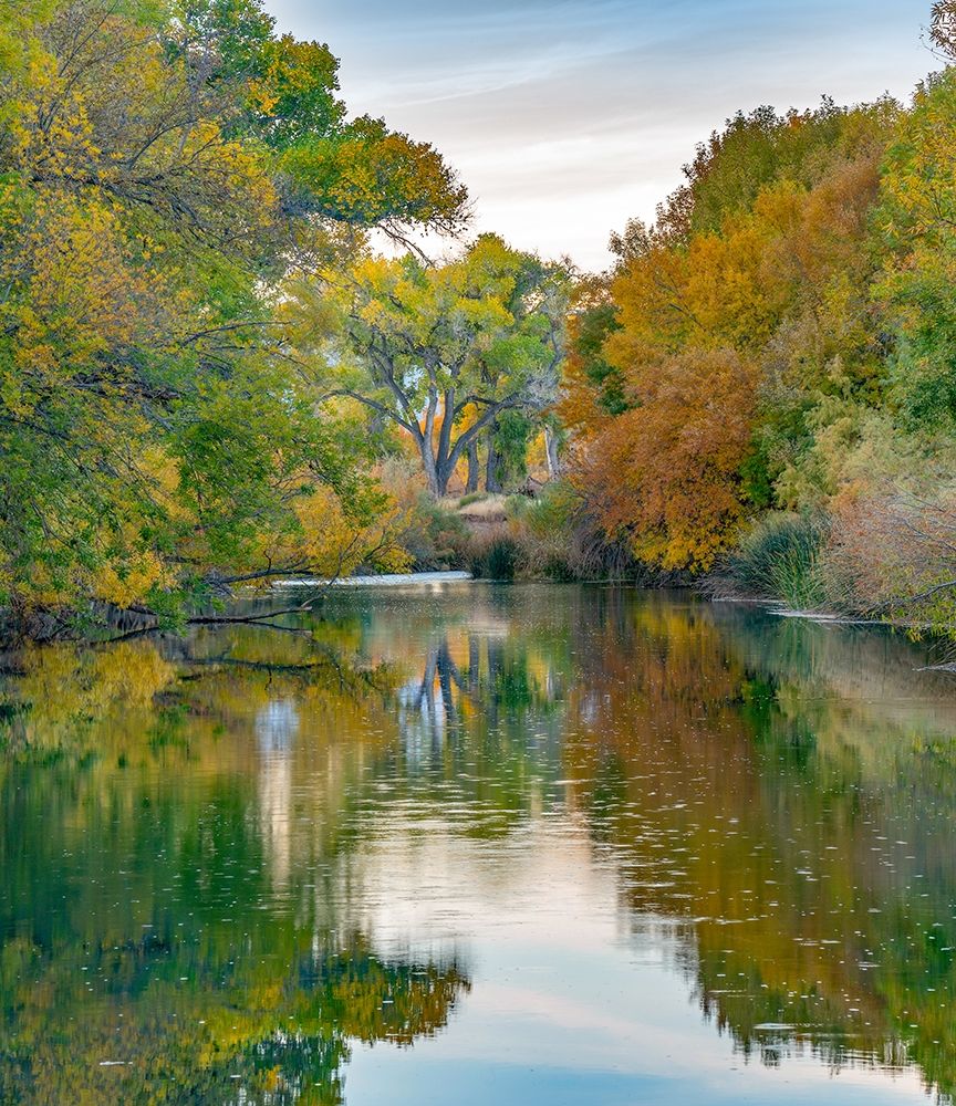 Verde River near Camp Verde-Arizona-USA art print by Tim Fitzharris for $57.95 CAD