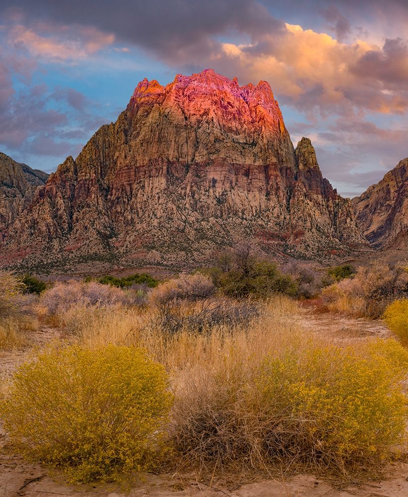 Spring Mountains-Red Rock Canyon National Conservation Area-Nevada art print by Tim Fitzharris for $57.95 CAD