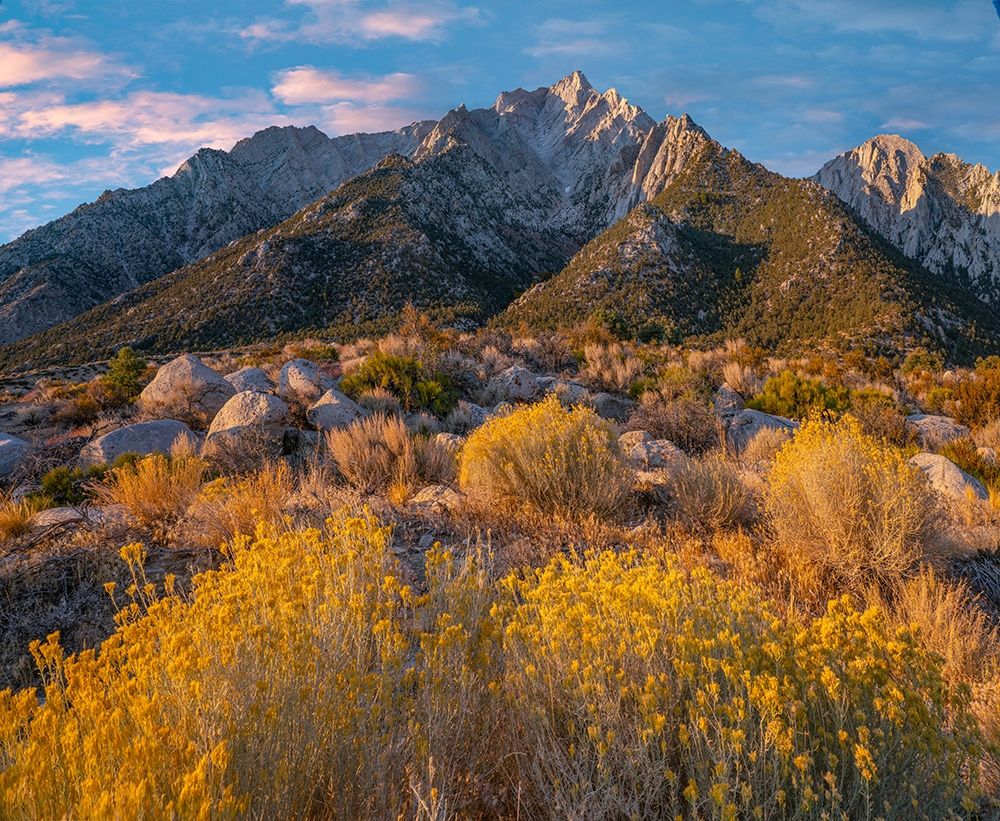Lone Pine Peak-Eastern Sierra-California-USA art print by Tim Fitzharris for $57.95 CAD