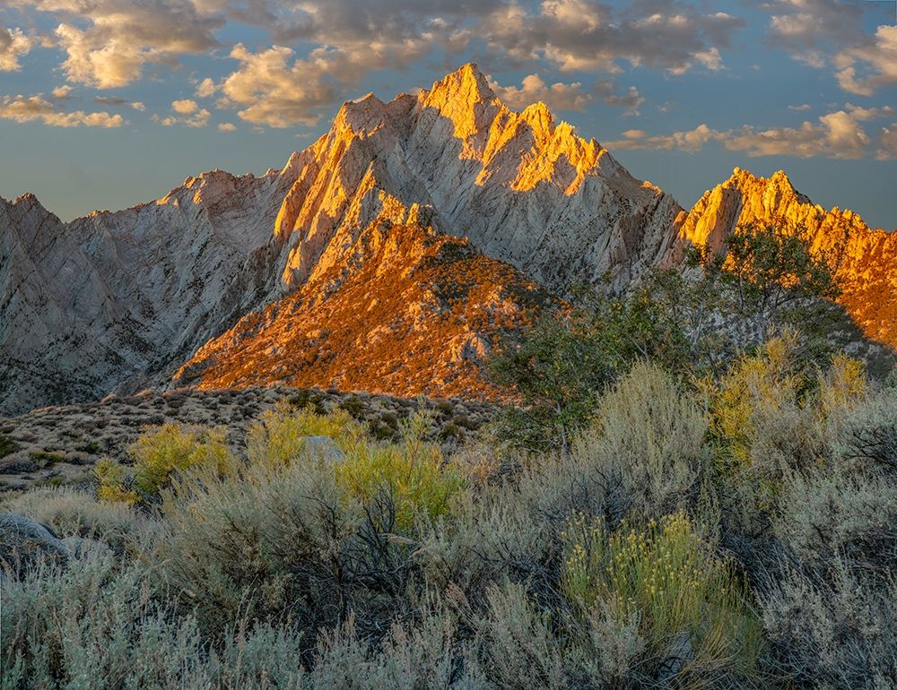 Lone Pine Peak from Tuttle Creek-Sierra Nevada-California-USA art print by Tim Fitzharris for $57.95 CAD
