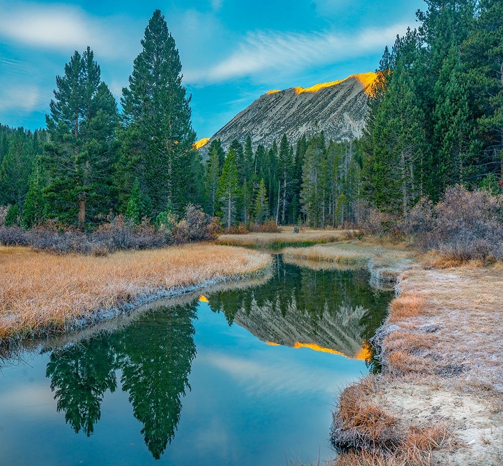 Rock Creek. Inyo National Forest-California-USA art print by Tim Fitzharris for $57.95 CAD