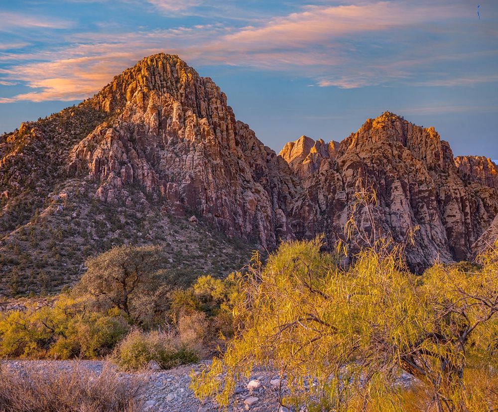 Willows and Wash-Red Rock Canyon-Nevada art print by Tim Fitzharris for $57.95 CAD
