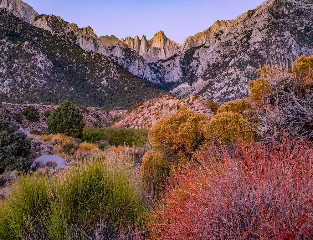 Mount Whitney-Sequoia National Park Inyo-National Forest-California art print by Tim Fitzharris for $57.95 CAD