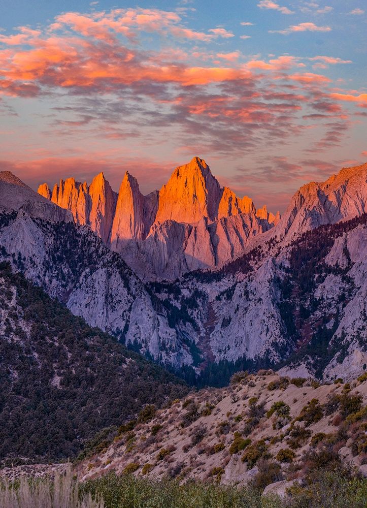 Mount Whitney-Sequoia National Park Inyo-National Forest-California art print by Tim Fitzharris for $57.95 CAD